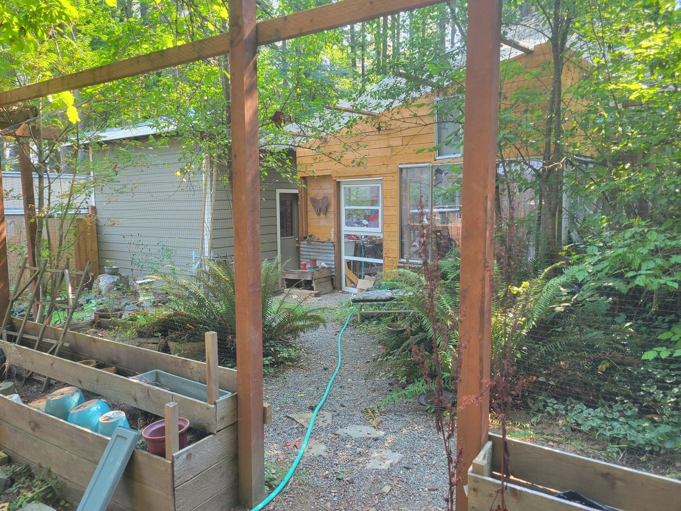 Butterthief Gardens — raised beds, pergola, and Pacific Northwest forest, Olympia WA