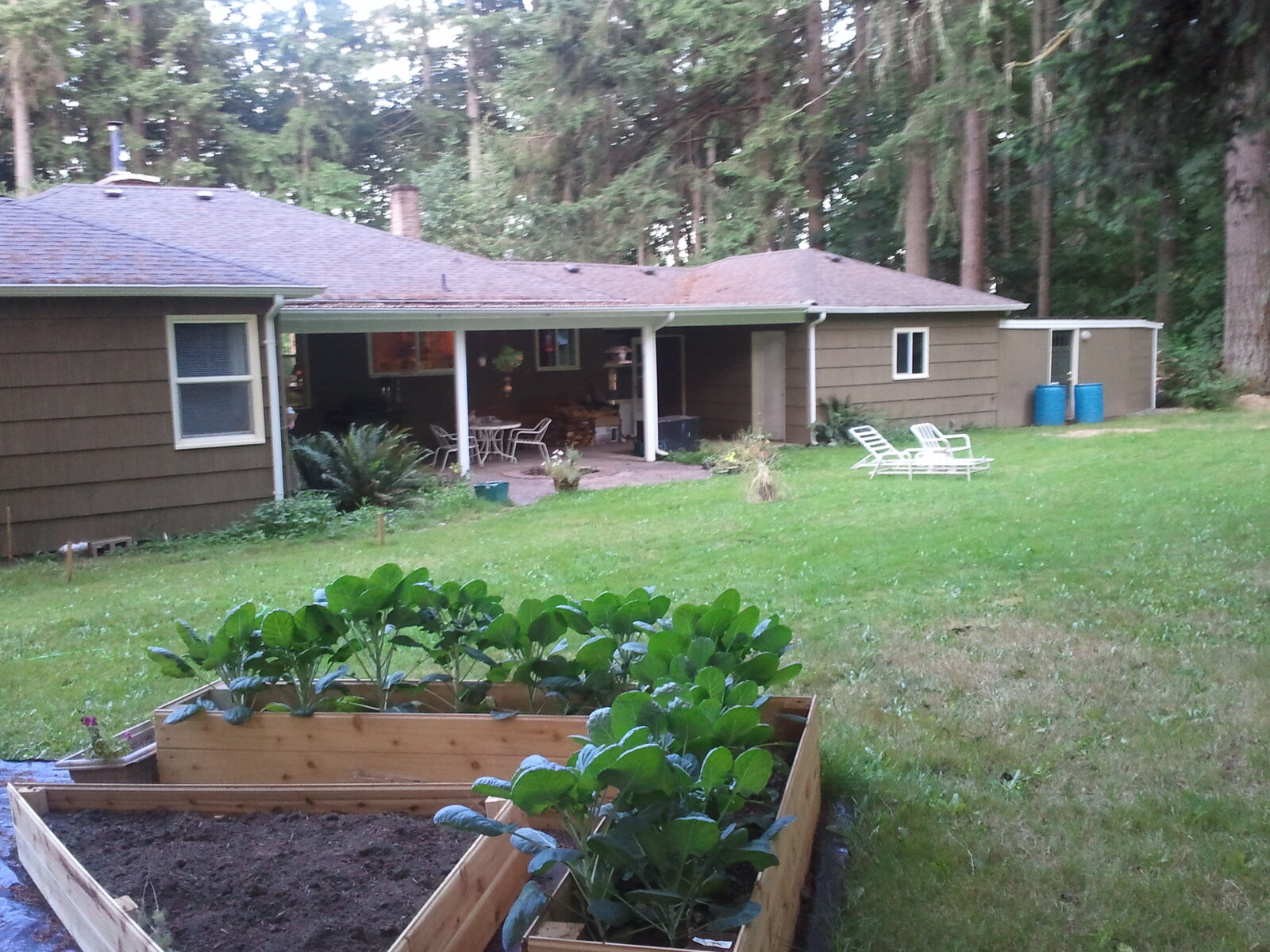 The home seen across the raised-bed garden in the forest clearing