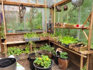 Inside the Greenhouse