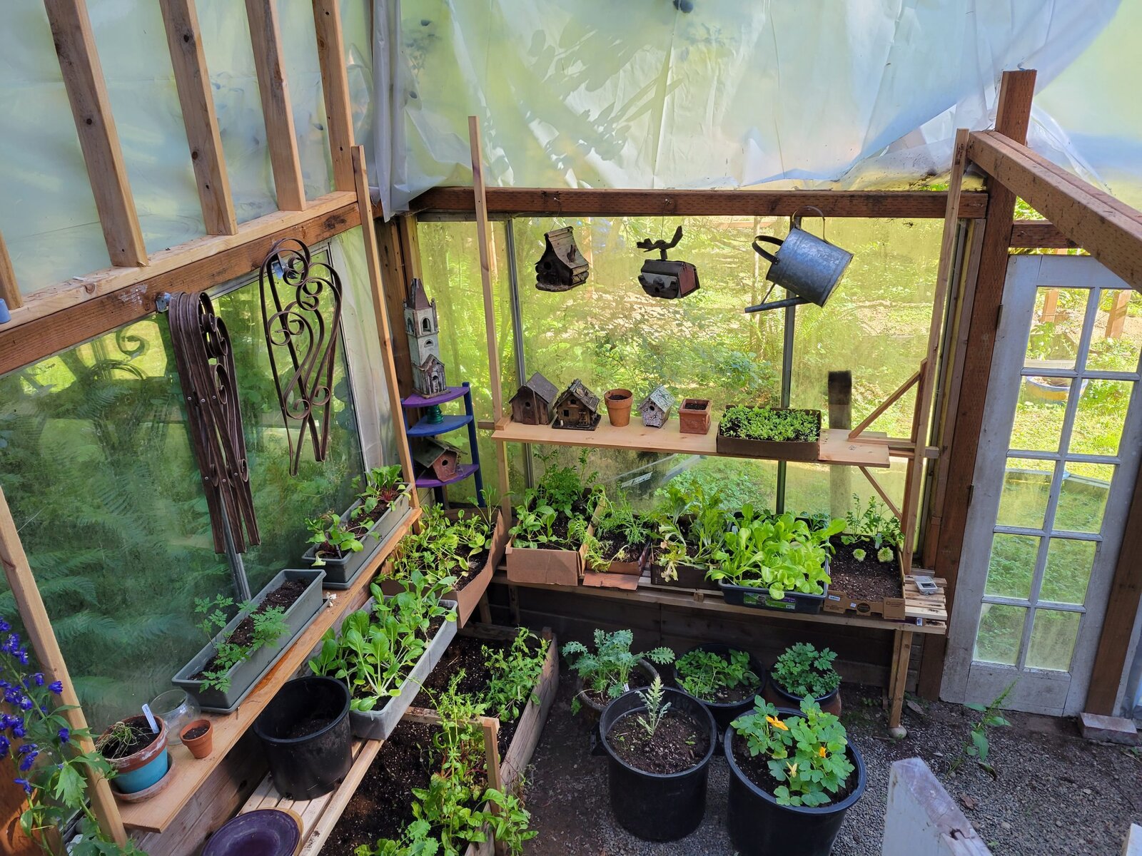 Greenhouse interior with seedling trays and birdhouses