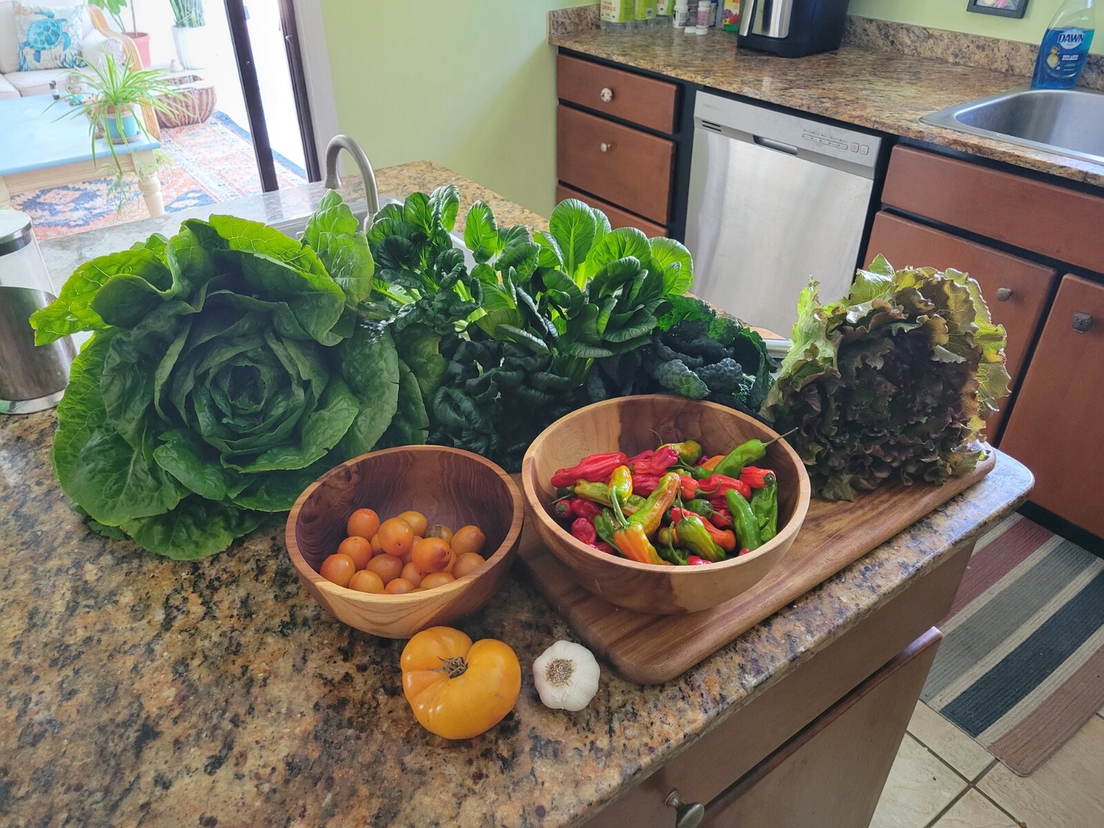 A garden harvest on the kitchen counter — greens, peppers, tomatoes, garlic