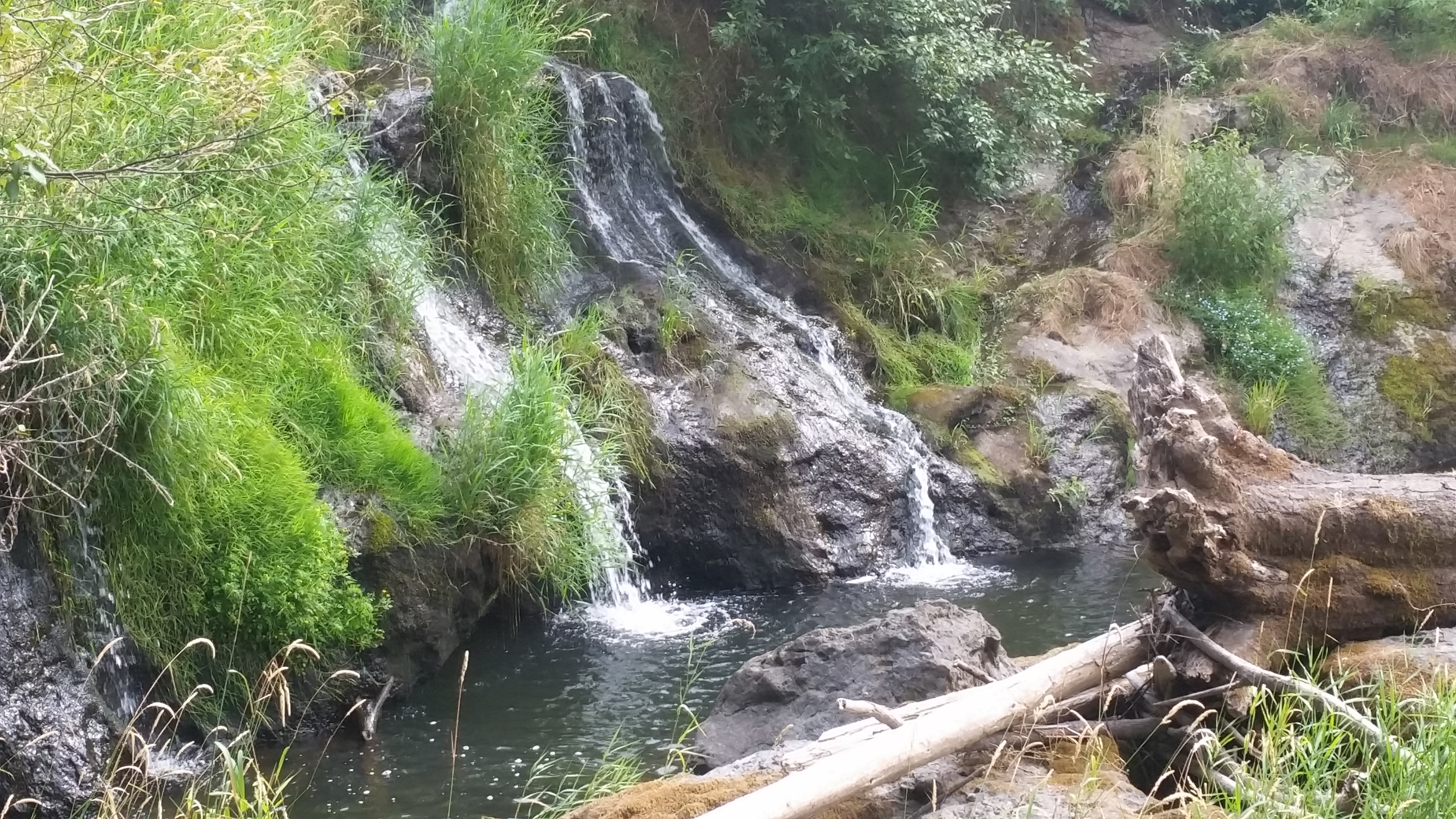 Pacific Northwest waterfall and mossy creek, July 2015
