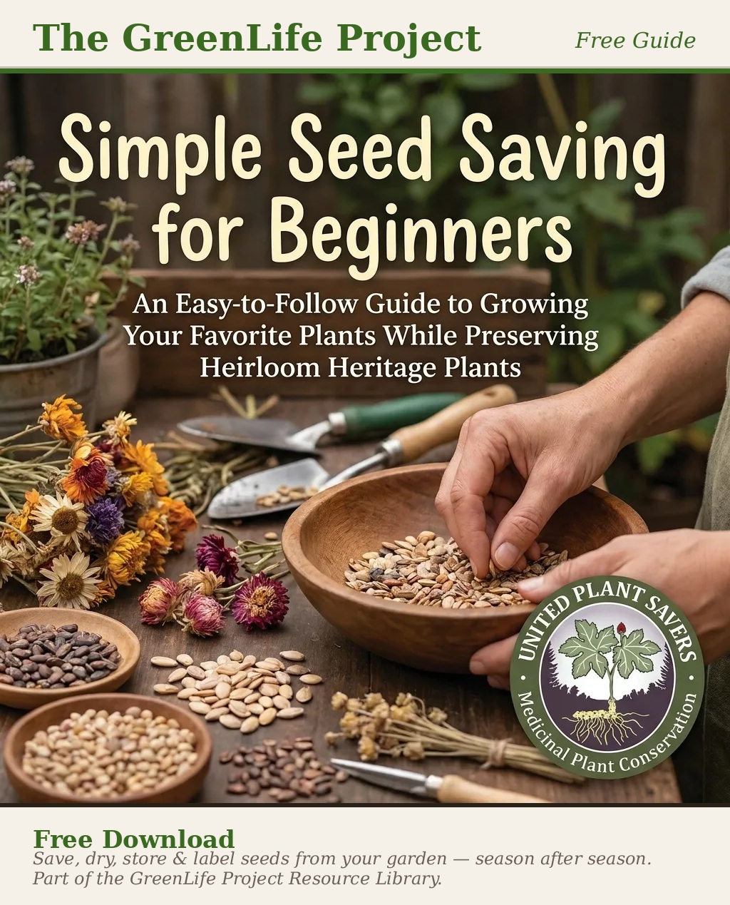 Simple Seed Saving for Beginners